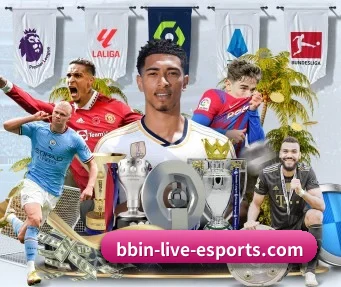 bbin-live-esports.com 官方入口、APP下载与帮助中心界面