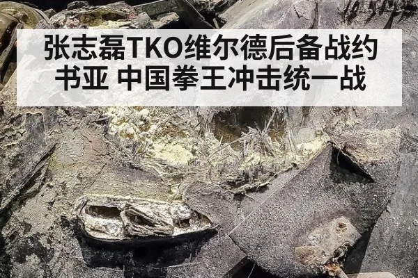 张志磊TKO维尔德后备战约书亚 中国拳王冲击统一战