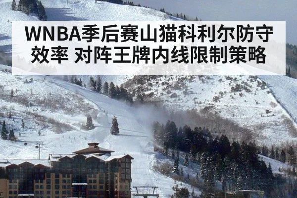 WNBA季后赛山猫科利尔防守效率 对阵王牌内线限制策略